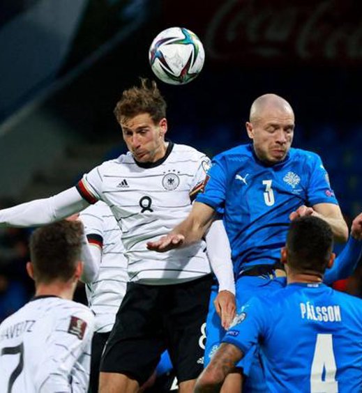 乐鱼(leyu)官网简介